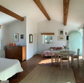 Charming  farmhouse newly refurbished and medieval tower near Avignon and Arles - Image 2