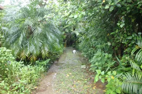 Yambarunomori - Image 3