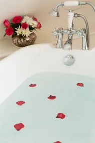 Luxury: Jacuzzi and Swedish sauna at dog friendly chocolate box cottage - Image 5