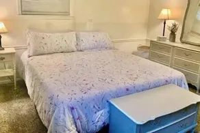 Cozy Guest Suite with Fireplace & Private Entrance - Image 2