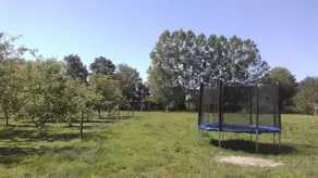 Stille landsted, indendørs pool opvarmet hele året. - Image 4