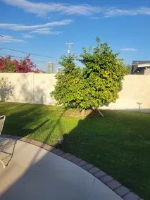 El Norte - 3bdrm, 2bath, Heated Pool,  Walk to Asu - Image 5