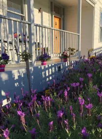 Beautiful private, quiet B&B - Image 2