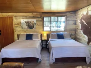 Comfy Cozy Cabin in the tall pines of Alpine AZ #1 - Image 5