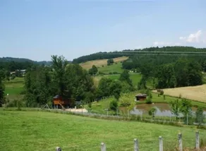 La Cabane Dans les Arbres - Image 2