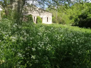 Lille mas midt i naturen - Image 5