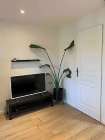 Duplex Proche Zénith, Mégacité, Stade de la Licorne, CHU - Image 2