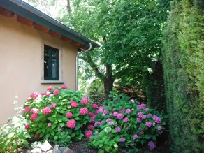 Guest house \"Vivere nel giardino dei sensi\" - Image 5