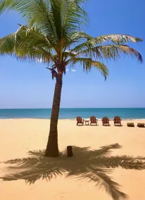 Luxury Beach Side Villa - spiaggia privata, eccezionale chef e personale esclusivi - Image 3