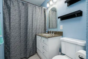 Comfortable Pet friendly - Image 3