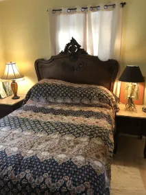Tryon Love 2 min walk to downtown. Wood fireplace. Monthly rentals only. - Image 5