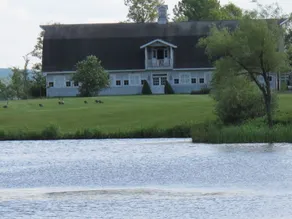 Privater Rückzugsort am See, weit weg von allem! - Image 5
