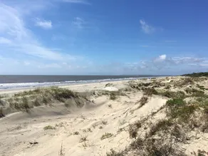 3 Bedroom Ocean Front (sleeps 6) - Image 5