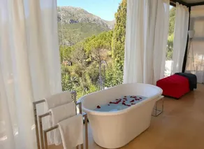 Stunning Glass Suite with private plunge pool - Image 2