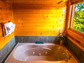 2BR / 2BA Luxuskabine. Komplette Ausstattung, Pool, Whirlpool. Erstaunliche Aussichten. Schläft 10 - Image 3