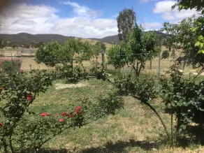 Pyrenees Farm Stay Amphitheatre. (Pet friendly) Bed and Breakfast. - Image 5