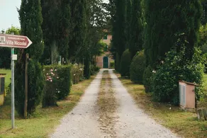 Villa Niccolai: Charming Tuscan Villa with Luxury Private Pool & Shading Park - Image 3