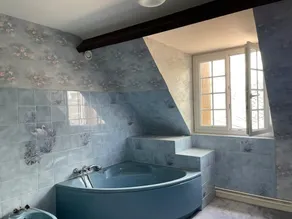 Family country house in the Chateaux de la Loire area - Image 4