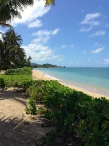 Zurück in die Zeit des Echt Hawaii und das ultimative Getaway. - Image 4