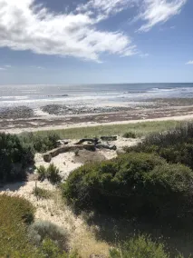 Lady Bay Beach Stay - Image 4