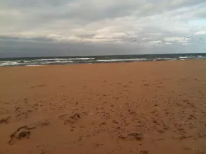 Pasos hacia el océano en Cousin's Shore Beach, Park Corner - Image 3