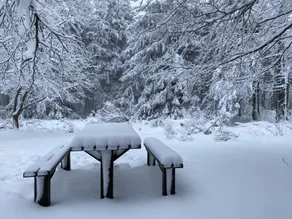 Le Chalet du Hohwald - Image 5