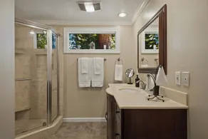 Forest, Spa, Dog Friendly, Great Location! - Image 3