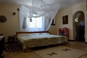 Comfortable bungalow, private swimming pool,excellent cook,near the beach,canoing,boat trips,fishing, situated in a lush tropical garden,Eco-friendly environment, - Image 2