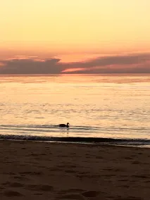 Trin til stranden! Perfekt familievenligt rum. - Image 5