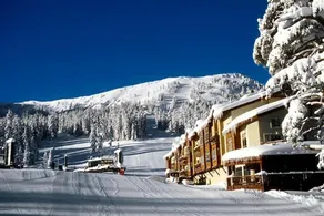Mountain Club | Premium 1BR Condo | Fireplace - Image 3