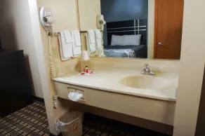 DUTCH INN AND SUITES - Image 3