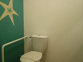 Gîte authentique avec cheminée, terrasse privée, accessible PMR, pêche et activités ULM - Vendée - Image 4