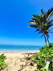 Breezy Beachfront Getaway w180 degree Oceanview - Image 2