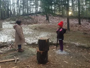 Moderne, lichtdurchflutete Hütte im Wald, in der Nähe von Catamount Ski - Image 2