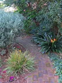 Austinmer Gardens B&B - Image 5