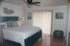 Paradise Point. 1 minute to fast water and a beach!  Pool, Spa, Dock. Sleeps 10 - Image 3
