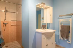 Gîte cerf - Image 3