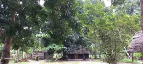 Kv Jungle Bungalows - Image 2