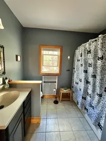 Beautiful contemporary 3 bedroom and 2.5 bath home on Square Pond. - Image 2