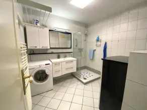Sandburg - Image 2