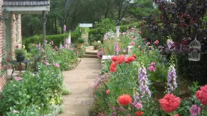 Annies cottage and garden - Image 5