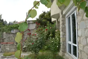 Royal Telavi - Image 3