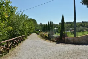 Casa Il Pino - Image 3