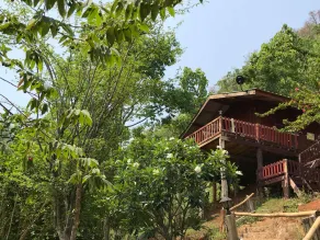 Forest Guesthouse - Image 4