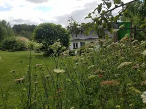 Only pitches for mobile homes, tiny houses, tents & others on own land. Property! - Image 2