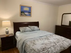 NY! Hyggelig Inlaw-suite i Brookhaven - Image 3