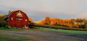The Loft @ Lost Acres ~ A Peaceful Rural Escape on a Farm Winery! - Image 4