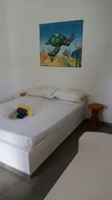 Tropicana Kite Village  - Image 5