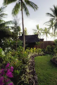 Vahine Private Island - Image 3