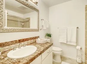 Royale Living in the Heart of Phoenix  - Image 5